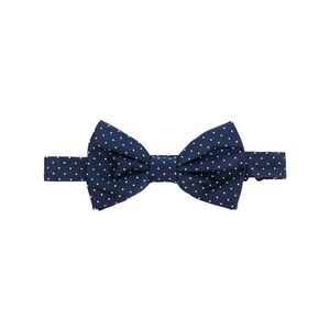 Lady Anne Blue Ties & Bow Ties Men